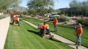 Expert residential landscaping in Phoenix, AZ by Alley Verde Landscaping