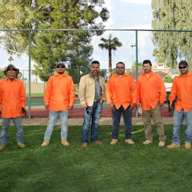 Custom landscape installation in Phoenix, AZ by Alley Verde Landscaping