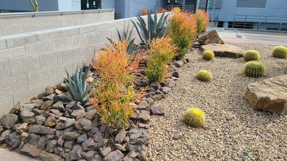 Expert garden landscaping in Phoenix, AZ by Alley Verde Landscaping