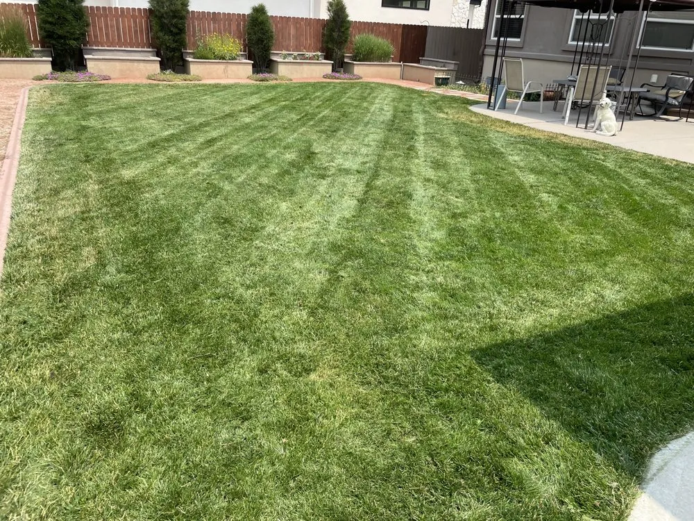 Expert landscaping services experts serving Denver, CO - Alleygator Lawn Service