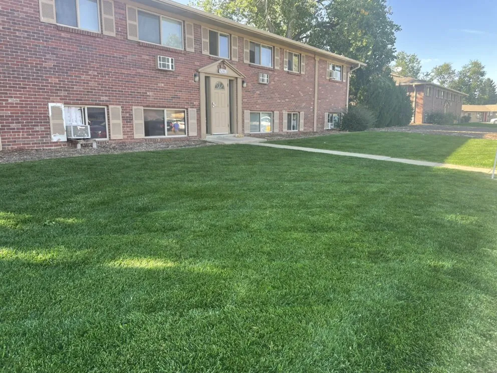 Reliable landscape design near you across Denver, CO - Alleygator Lawn Service