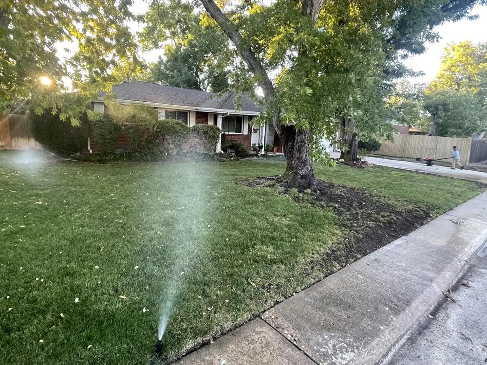 Custom garden landscaping for outdoor upgrades across Denver, CO - Alleygator Lawn Service