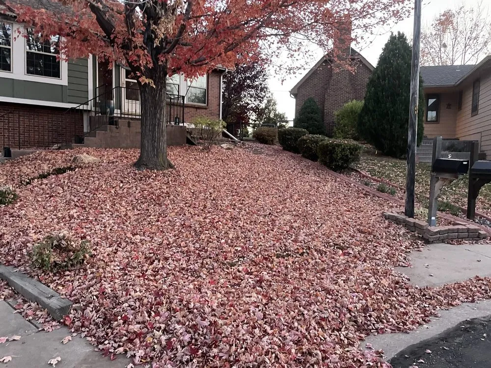 Affordable yard cleanup service near you in Denver, CO by Alleygator Lawn Service