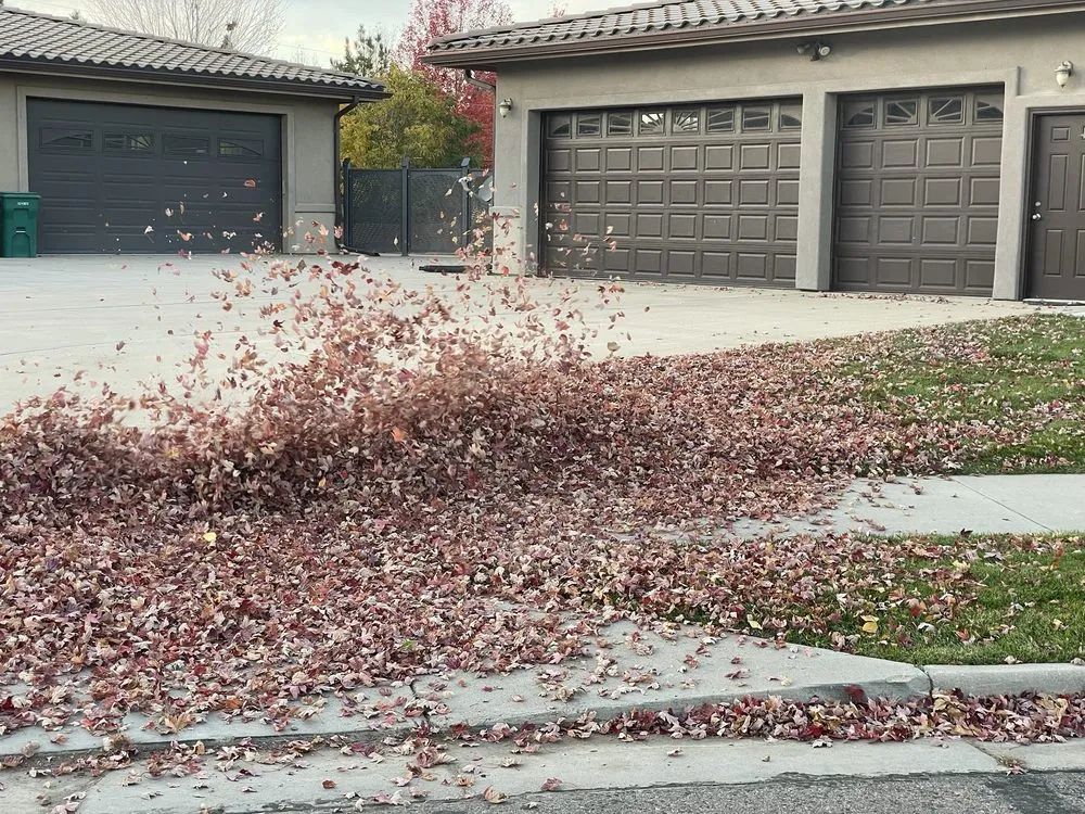 Reliable lawn mowing service experts serving Denver, CO - Alleygator Lawn Service