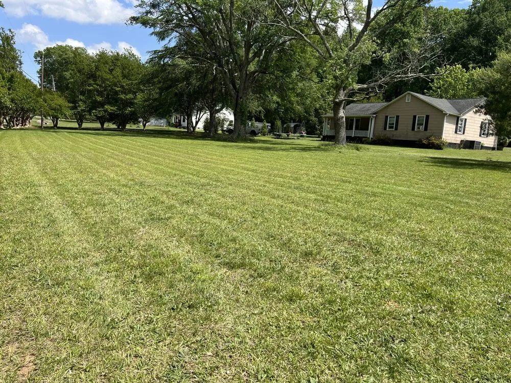 Affordable lawn mowing service in Pauline, SC - Alleys Lawn and Land Services