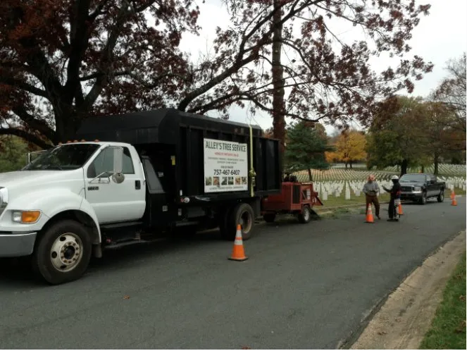 Professional yard maintenance in Virginia Beach, VA by Alley's Tree Service
