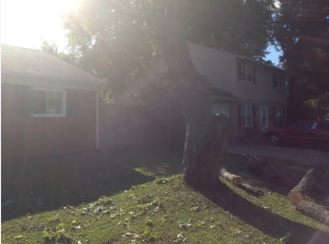 Local landscape installation in Virginia Beach, VA by Alley's Tree Service