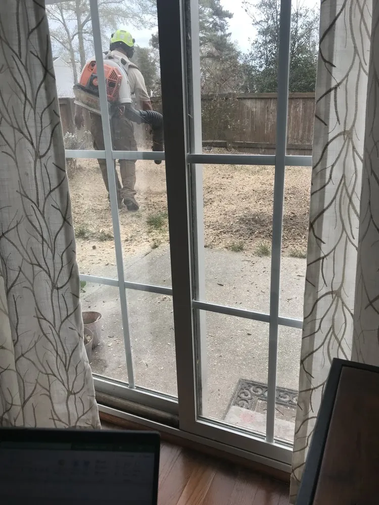 Custom landscape design in Virginia Beach, VA by Alley's Tree Service