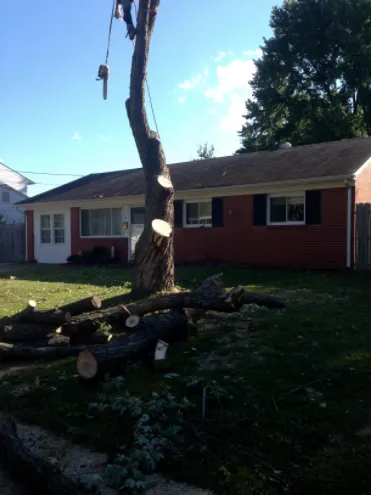 Trusted lawn care service for year-round maintenance across Virginia Beach, VA - Alley's Tree Service