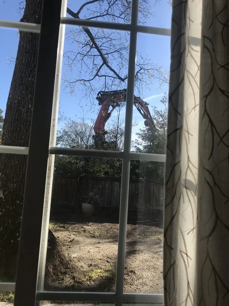 Reliable landscaping services experts serving Virginia Beach, VA - Alley's Tree Service