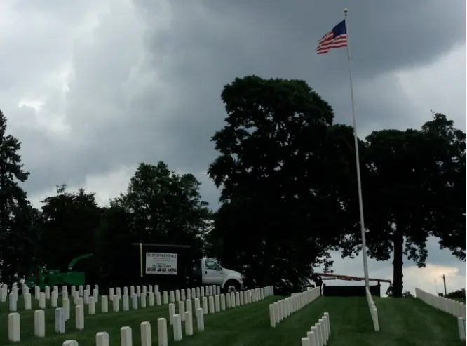 Trusted landscaping services in Virginia Beach, VA by Alley's Tree Service