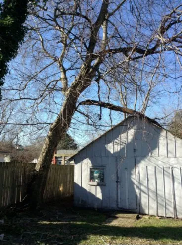 Professional lawn care service for beautiful yards across Virginia Beach, VA - Alley's Tree Service