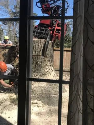 Alley's Tree Service Logo