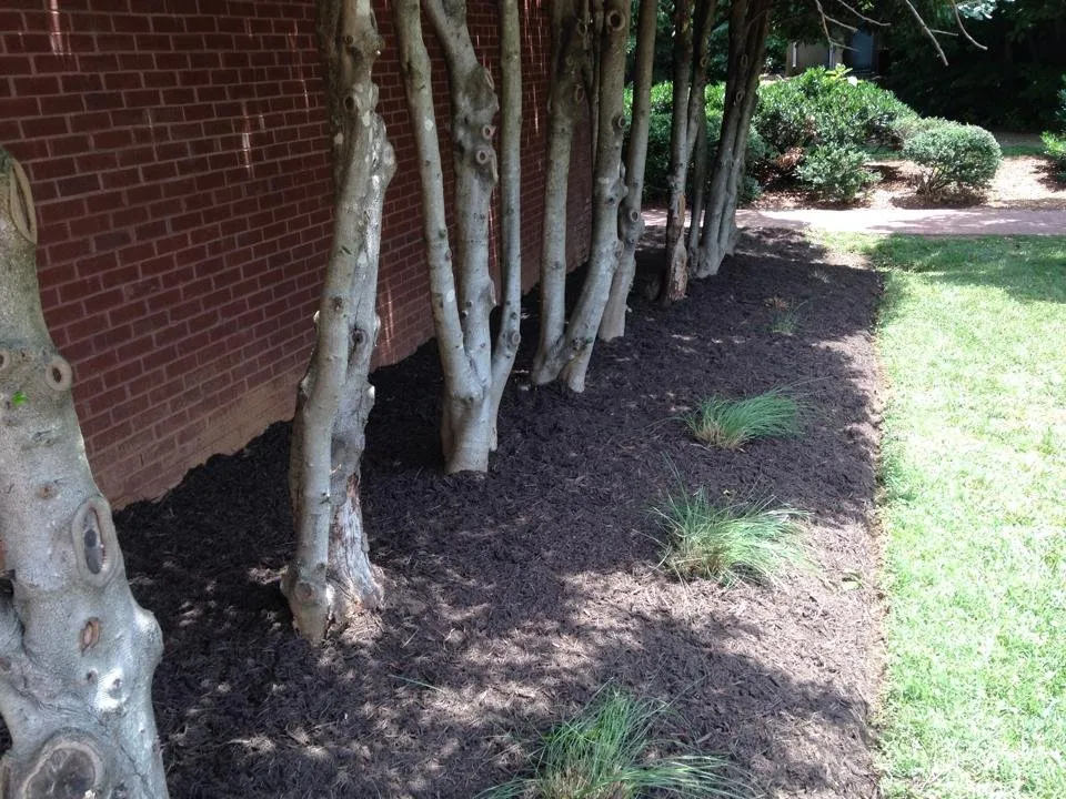 Professional landscape installation for year-round maintenance in Charlotte, NC by AllGreen Grounds Management