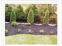 Trusted landscape design in Charlotte, NC by AllGreen Grounds Management