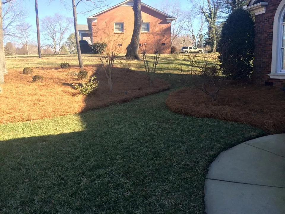 Custom yard cleanup service experts serving Charlotte, NC - AllGreen Grounds Management