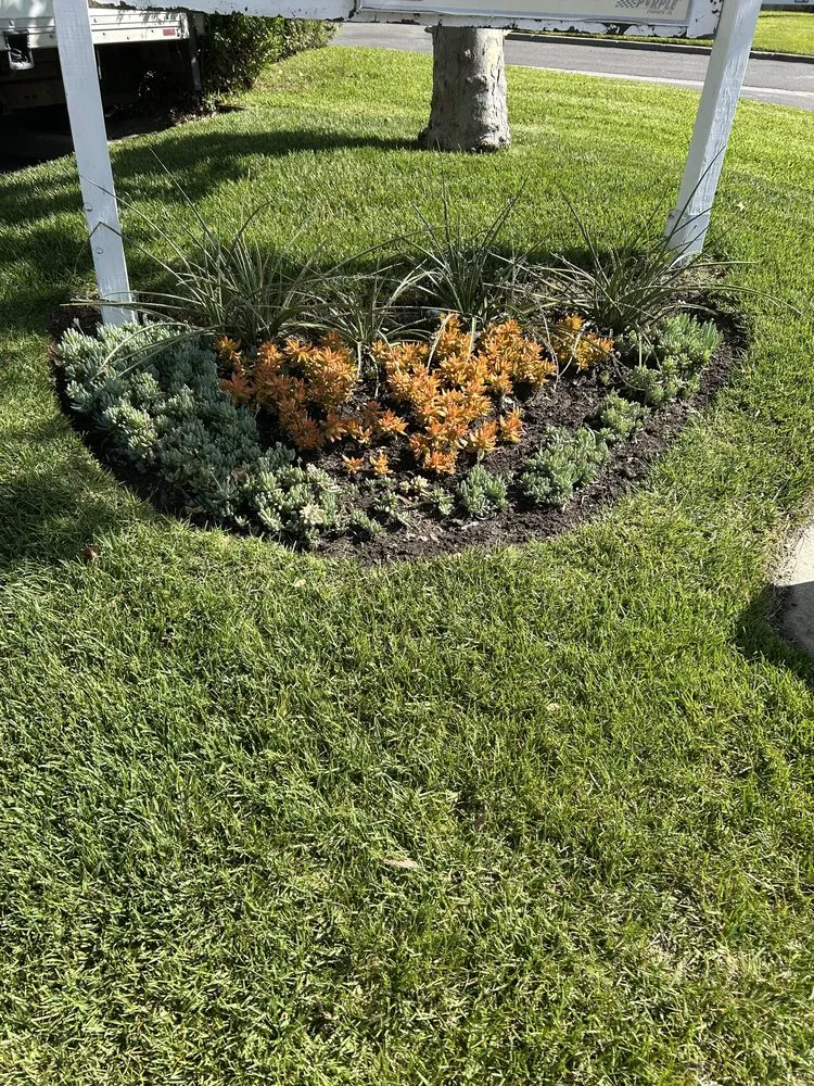 Trusted outdoor landscaping for beautiful yards across Mission Viejo, CA - Allgreen Landscape