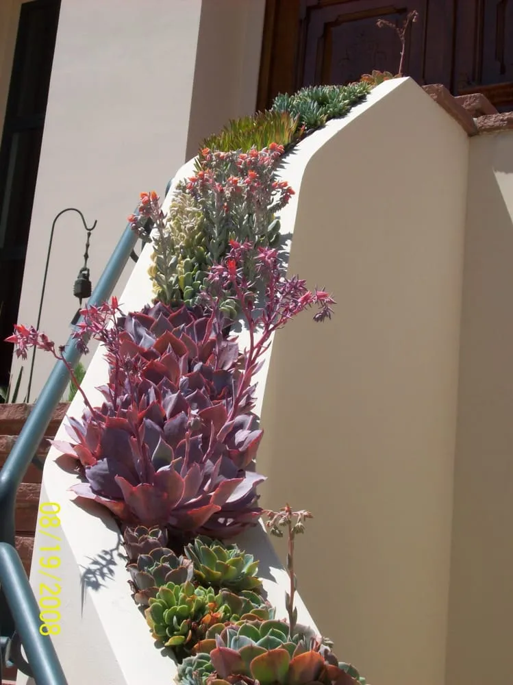 Local residential landscaping in Mission Viejo, CA by Allgreen Landscape