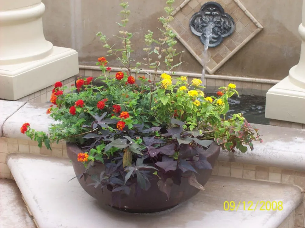 Reliable landscape installation in Mission Viejo, CA - Allgreen Landscape