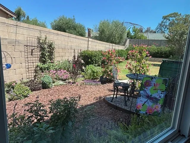 Custom yard maintenance in Mission Viejo, CA by Allgreen Landscape