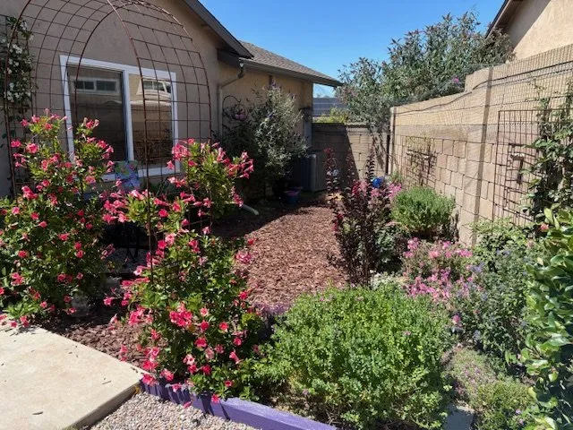 Local landscape installation with custom design across Mission Viejo, CA - Allgreen Landscape