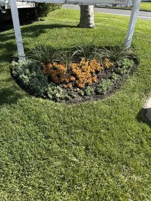 Allgreen Landscape Logo