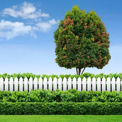 Affordable landscape design in Norwood, MA by AllGreen Lawn & Tree Care