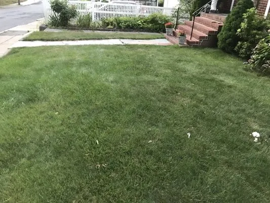 AllGreen Lawn & Tree Care Logo