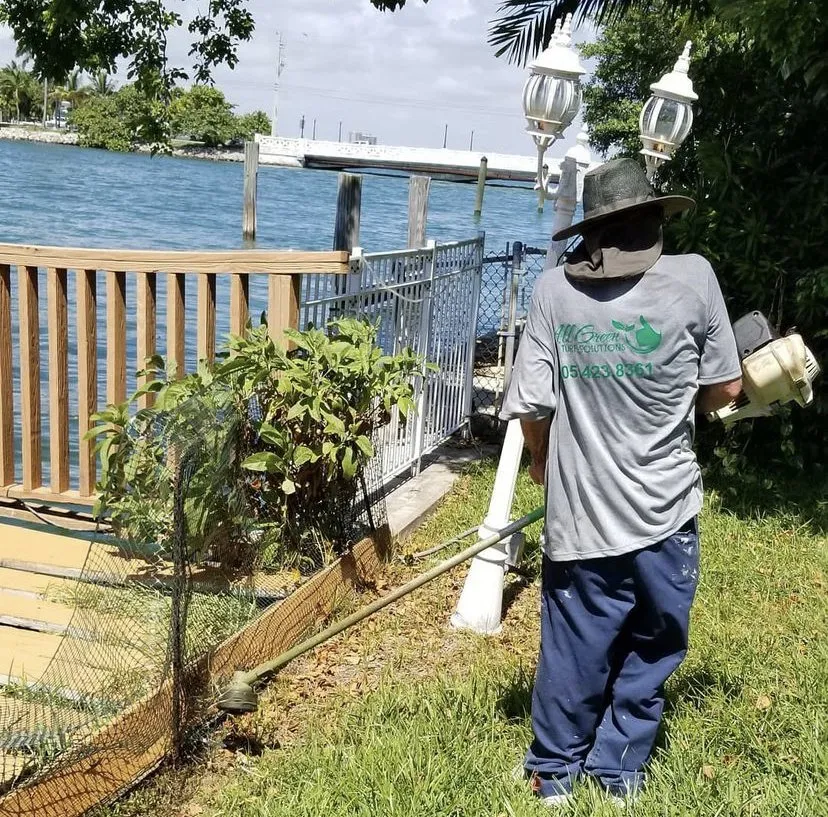 Reliable lawn mowing service with custom design across Miami, FL - AllGreen Turf Solutions