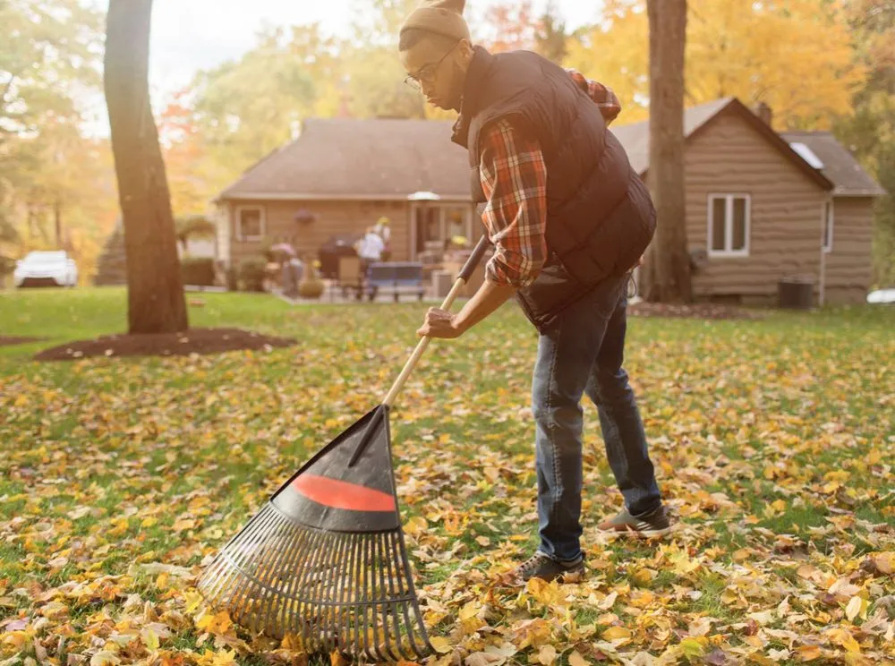 Professional yard cleanup service for beautiful yards across Milwaukee, WI - AllHands On Deck Organized Services