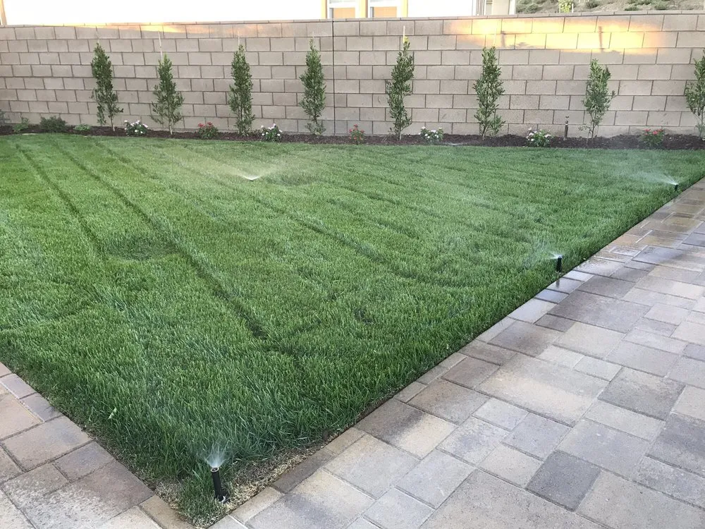 Local lawn care service for year-round maintenance in Chino, CA by Alliance Landcare