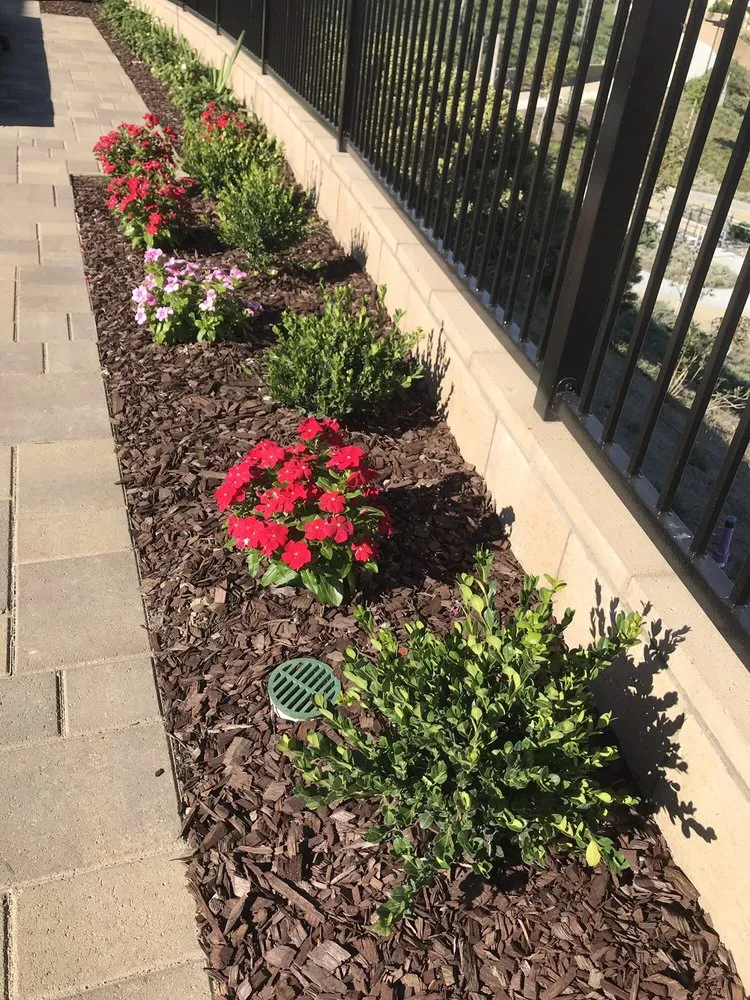 Professional lawn mowing service experts serving Chino, CA - Alliance Landcare