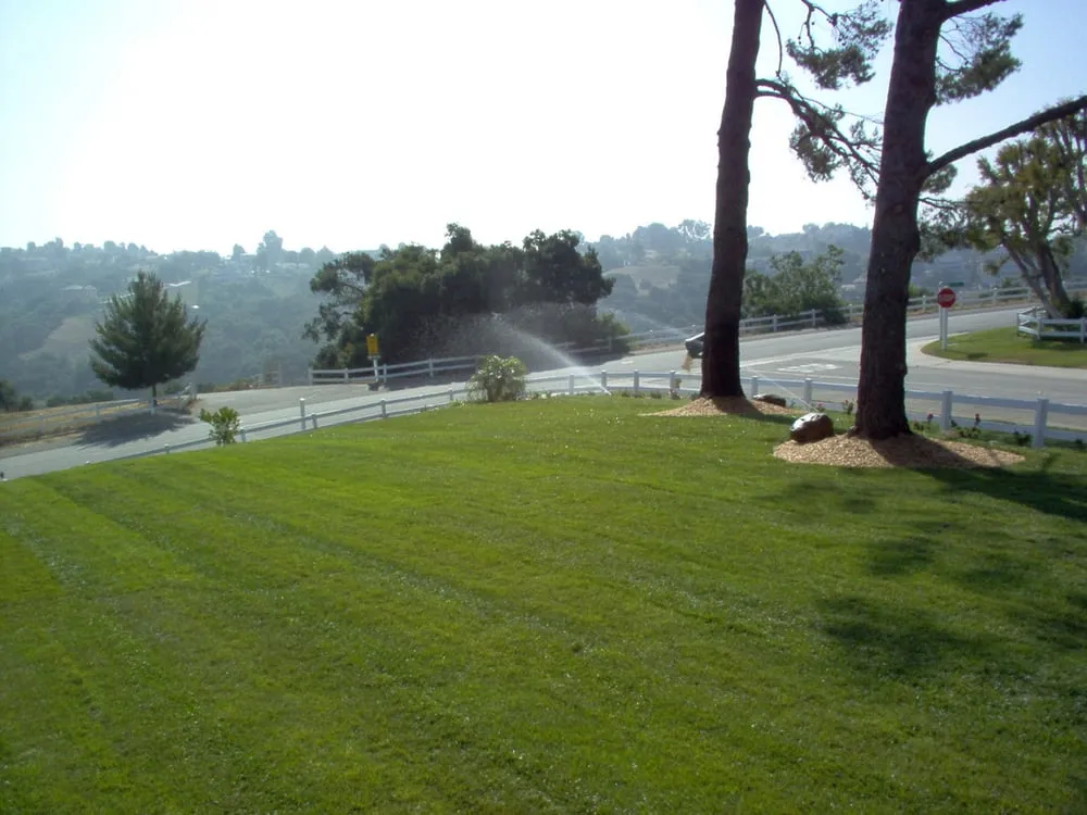 Custom lawn mowing service experts serving Chino, CA - Alliance Landcare