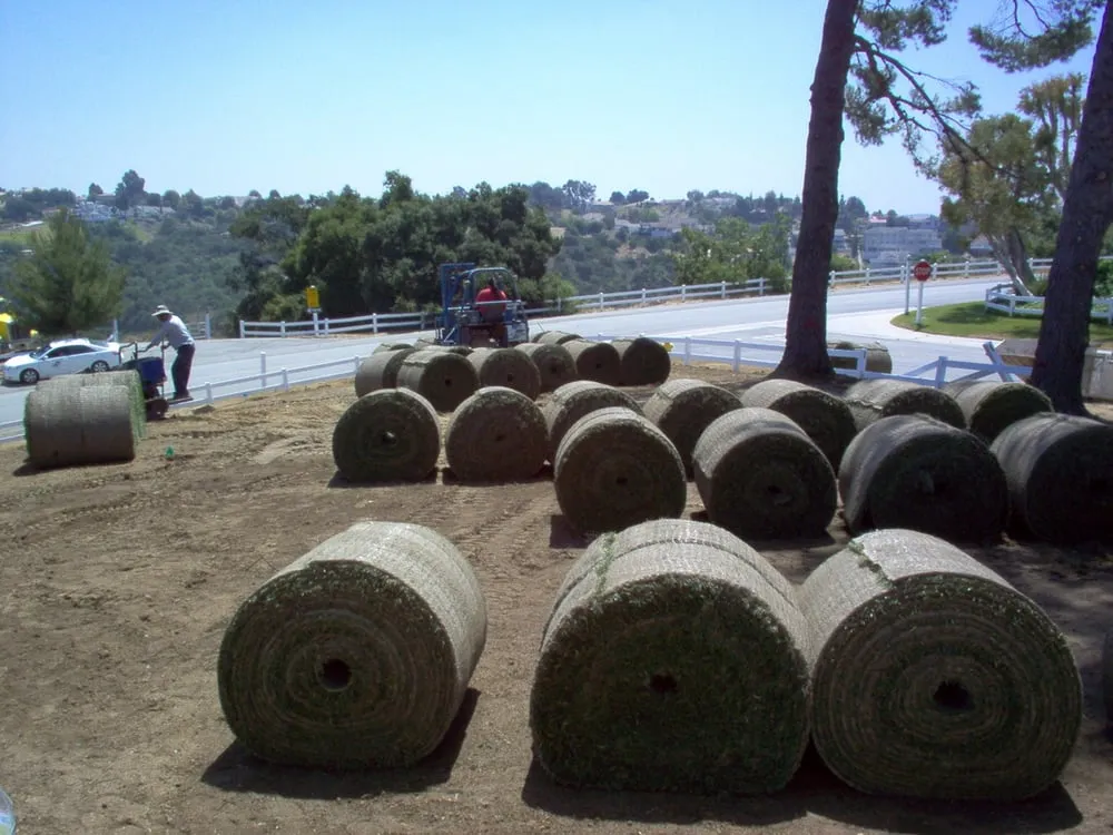 Trusted yard cleanup service for residential properties in Chino, CA by Alliance Landcare