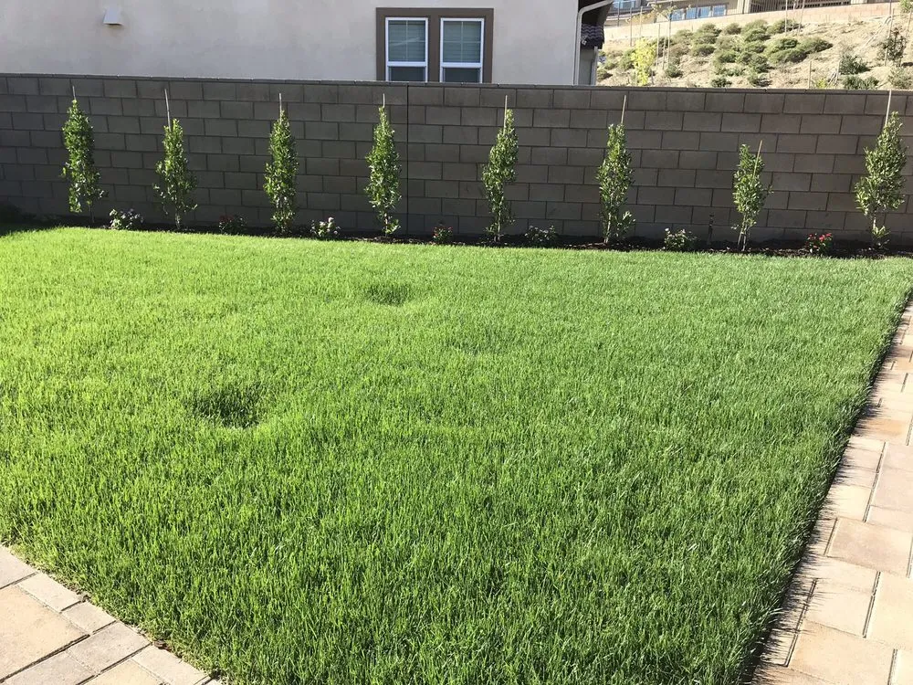 Reliable garden landscaping for year-round maintenance across Chino, CA - Alliance Landcare