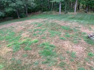 Reliable landscape installation in Auburn, NH by Alliance Landscaping