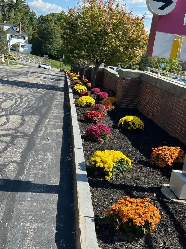 Expert residential landscaping for outdoor upgrades across Auburn, NH - Alliance Landscaping