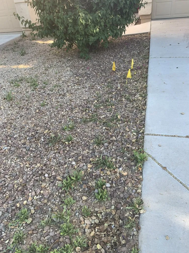 Expert outdoor landscaping in Los Ranchos, NM - Alliance Landscaping