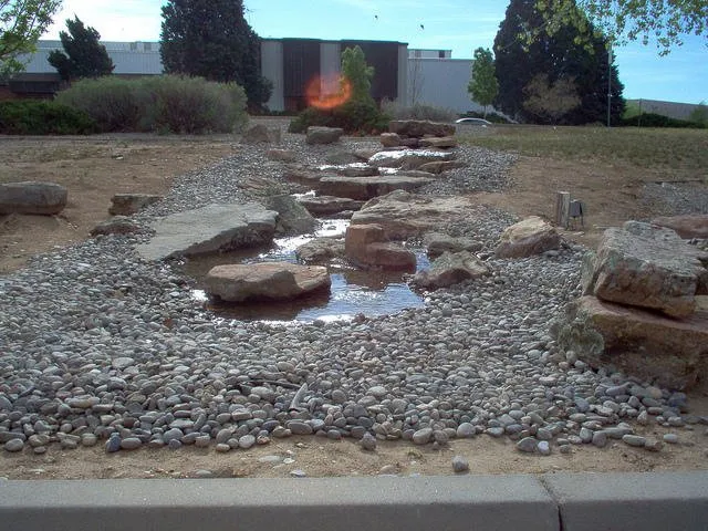Professional lawn care service in Los Ranchos, NM by Alliance Landscaping