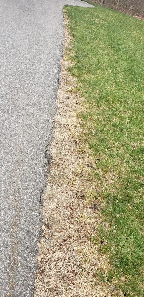 Expert landscaping services for beautiful yards in Manchester, NH by Alliance Landscaping