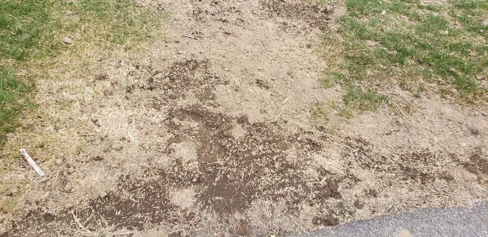 Reliable outdoor landscaping in Manchester, NH - Alliance Landscaping