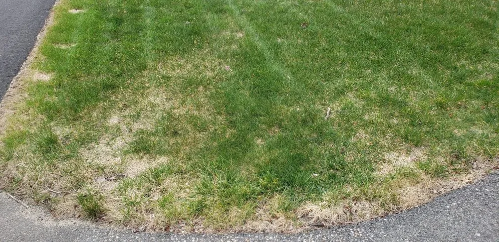 Top-rated outdoor landscaping for residential properties in Manchester, NH by Alliance Landscaping