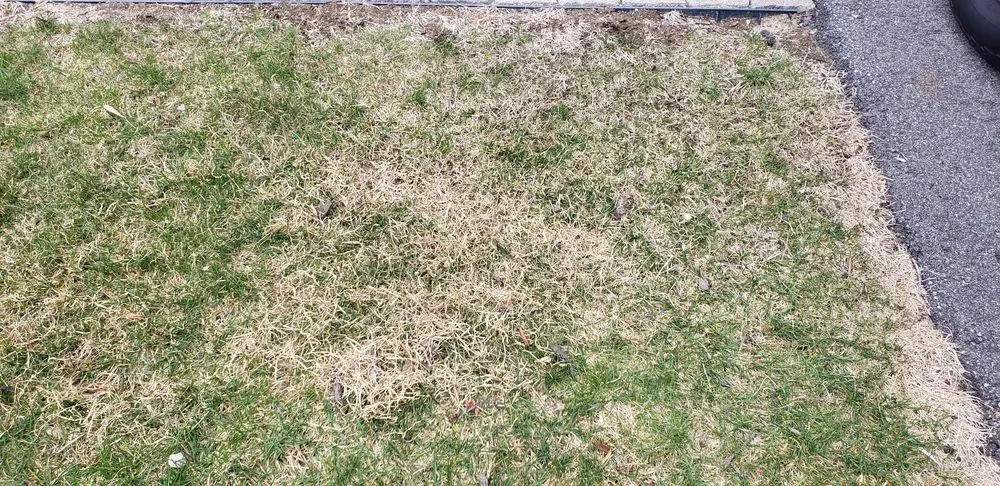 Expert landscaping services with custom design across Manchester, NH - Alliance Landscaping