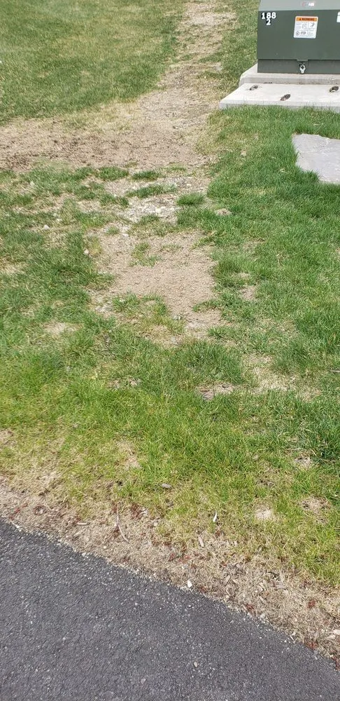 Custom residential landscaping for homes in Manchester, NH by Alliance Landscaping