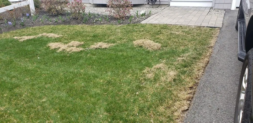 Reliable lawn care service for homes across Manchester, NH - Alliance Landscaping