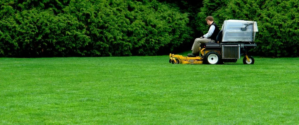 Expert yard cleanup service in Brown Deer, WI - Alliance Lawn Care and Snow Plowing