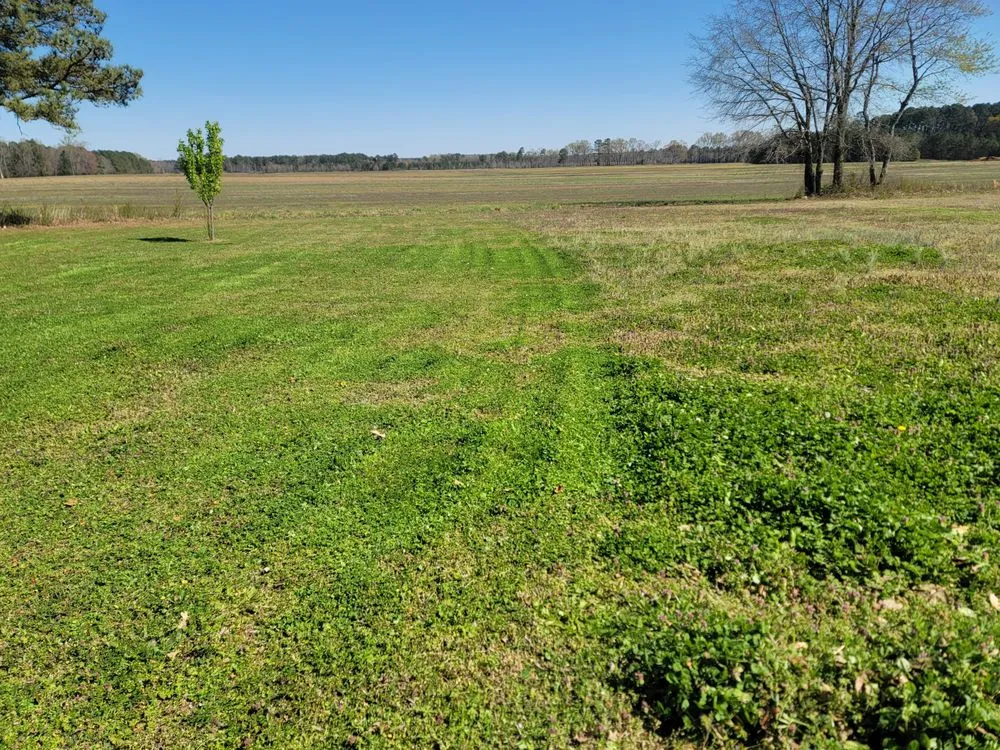 Local residential landscaping experts serving Kenly, NC - Alliance Lawn Care