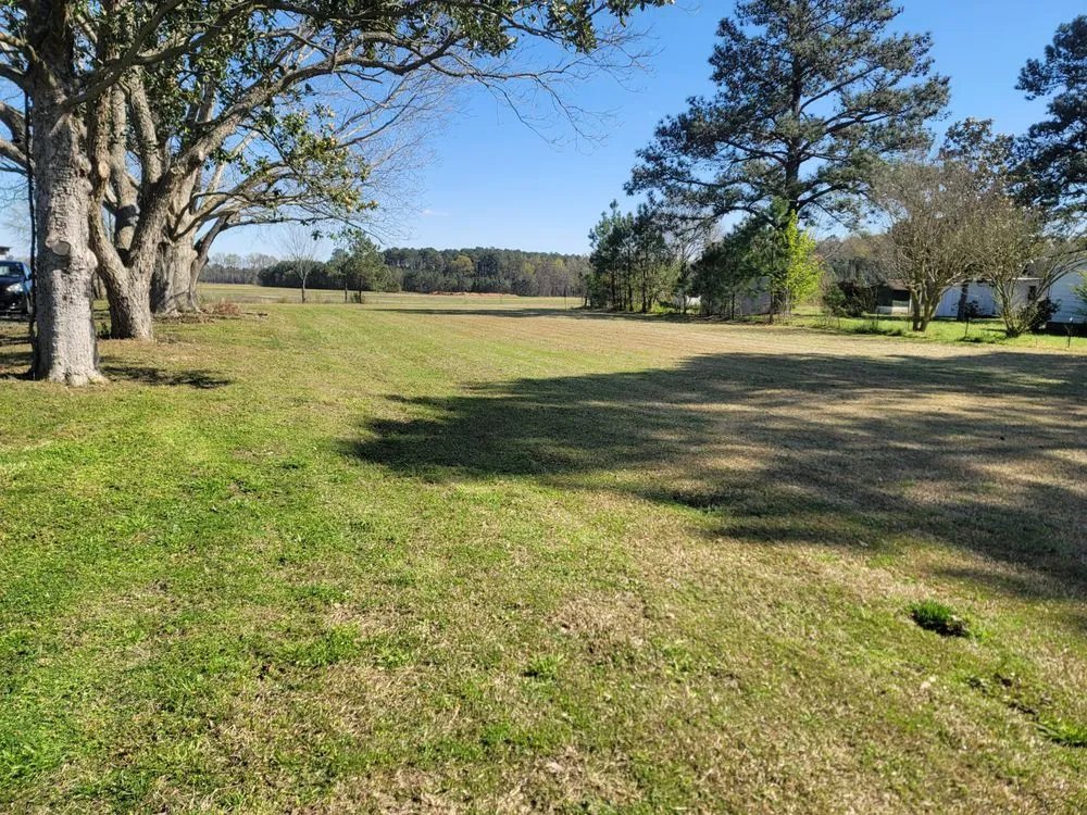 Local landscape design in Kenly, NC by Alliance Lawn Care