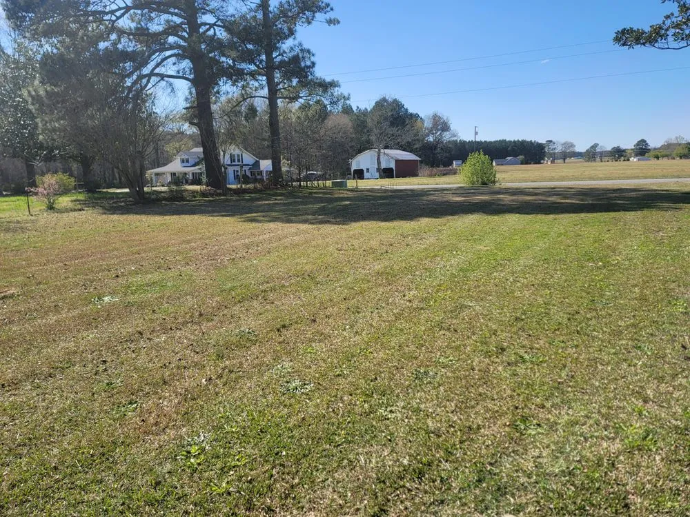 Top-rated yard cleanup service in Kenly, NC - Alliance Lawn Care