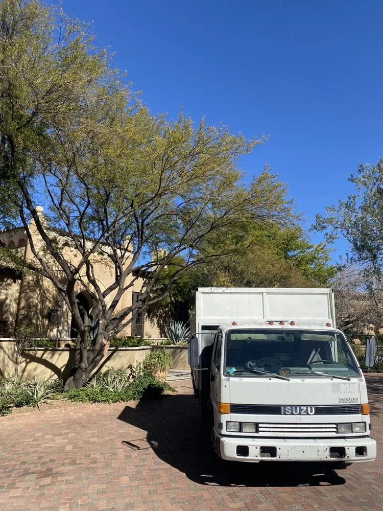 Reliable landscape installation in Phoenix, AZ by Alliance Manpower